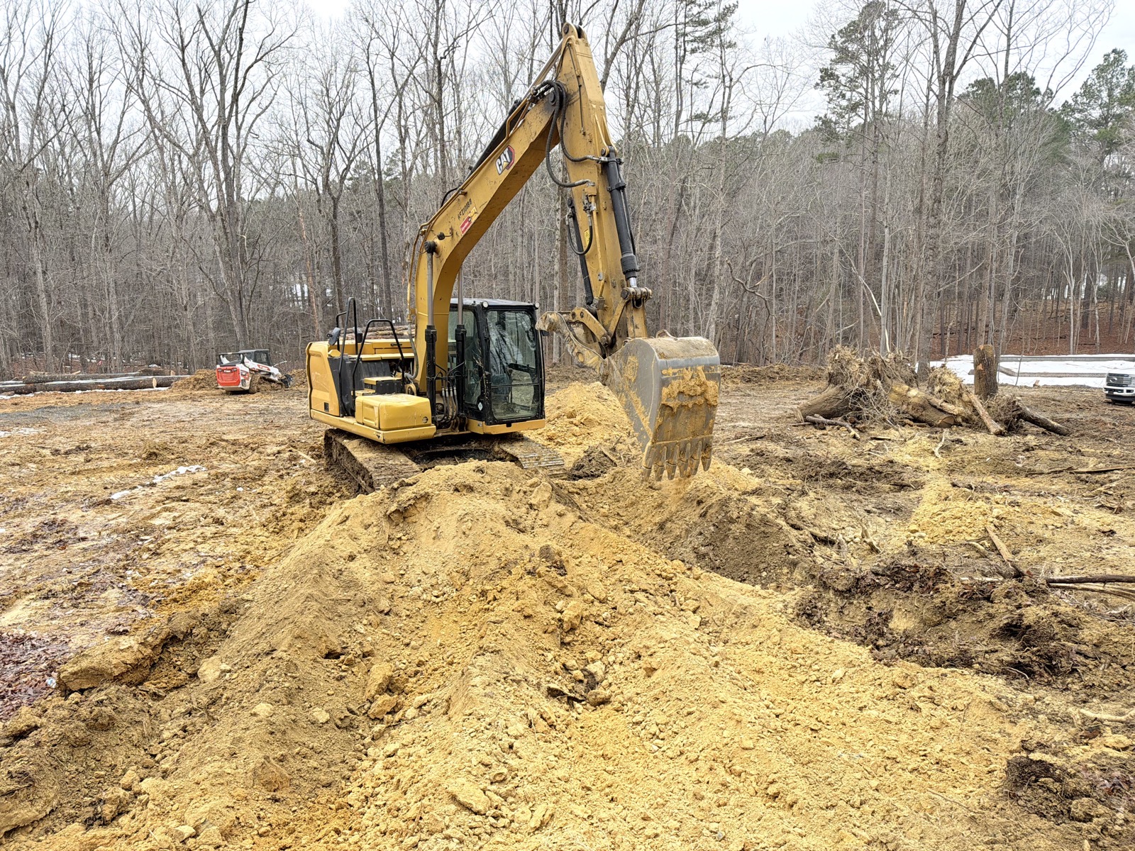 Land Clearing Project
