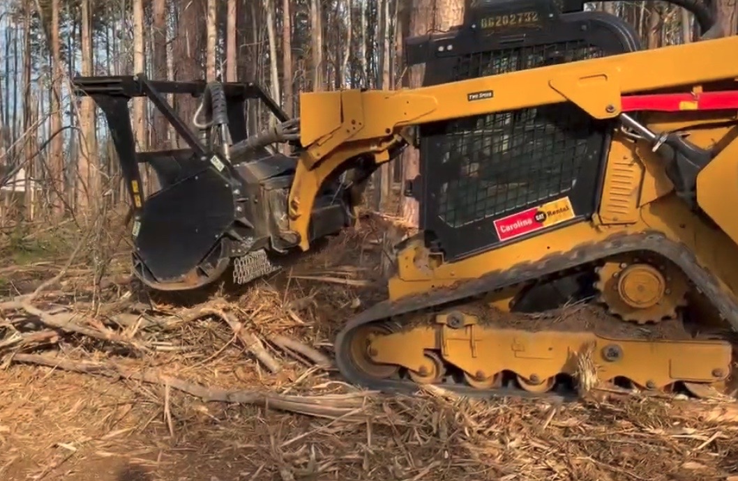 Forestry Mulching Project